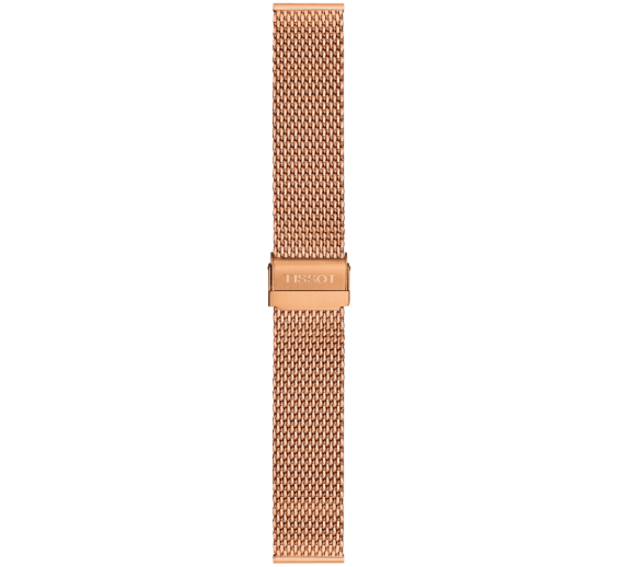 T1014173303101A