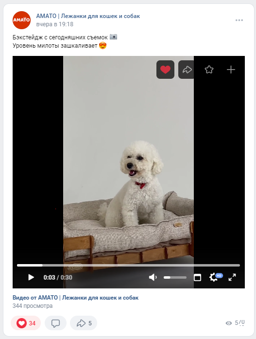 Амато фабрика лежанок для собак Вконтакте