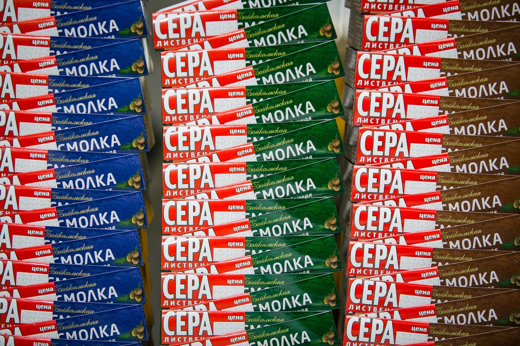 Смолка Байкальская