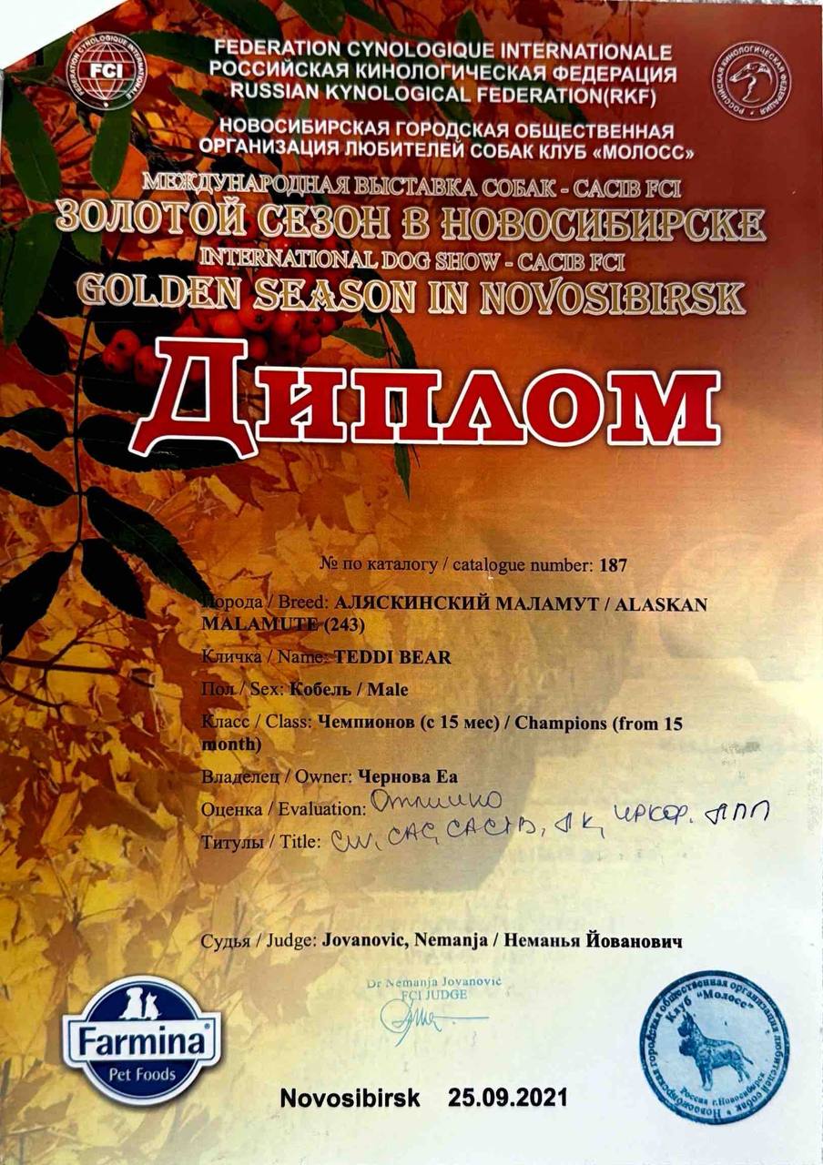 Диплом выставки Golden Season