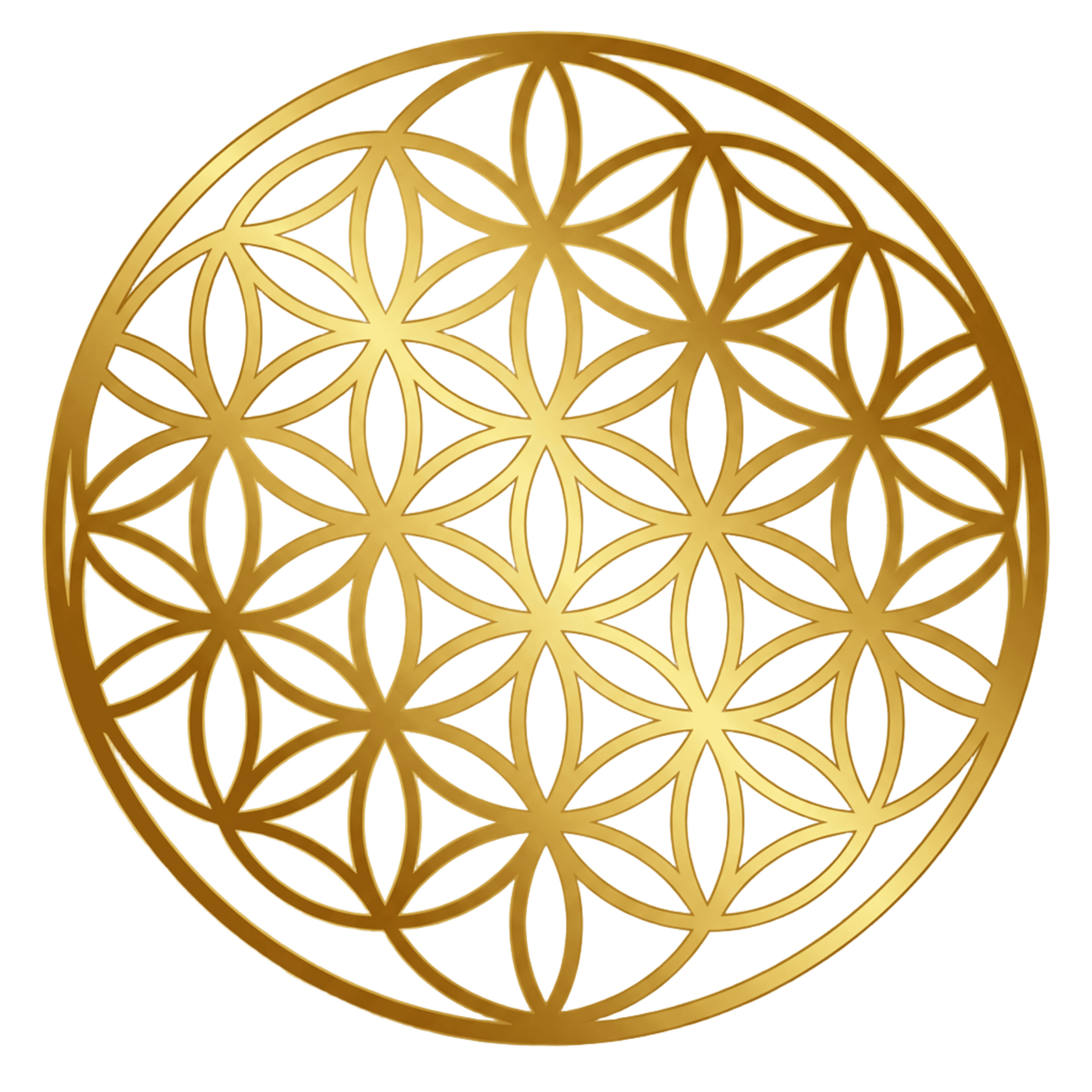 ЦВЕТОК ЖИЗНИ