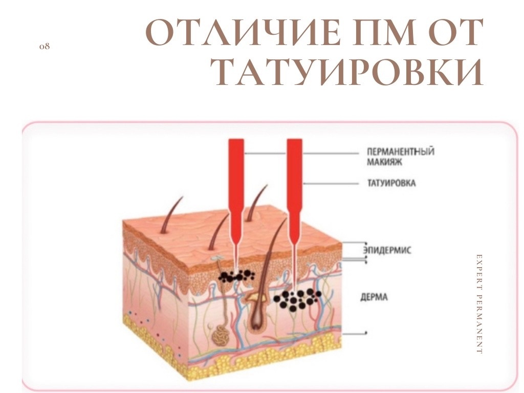 Чем отличается татуаж от перманентного макияжа и какую процедуру лучше выбрать в «СМ-Косметология»