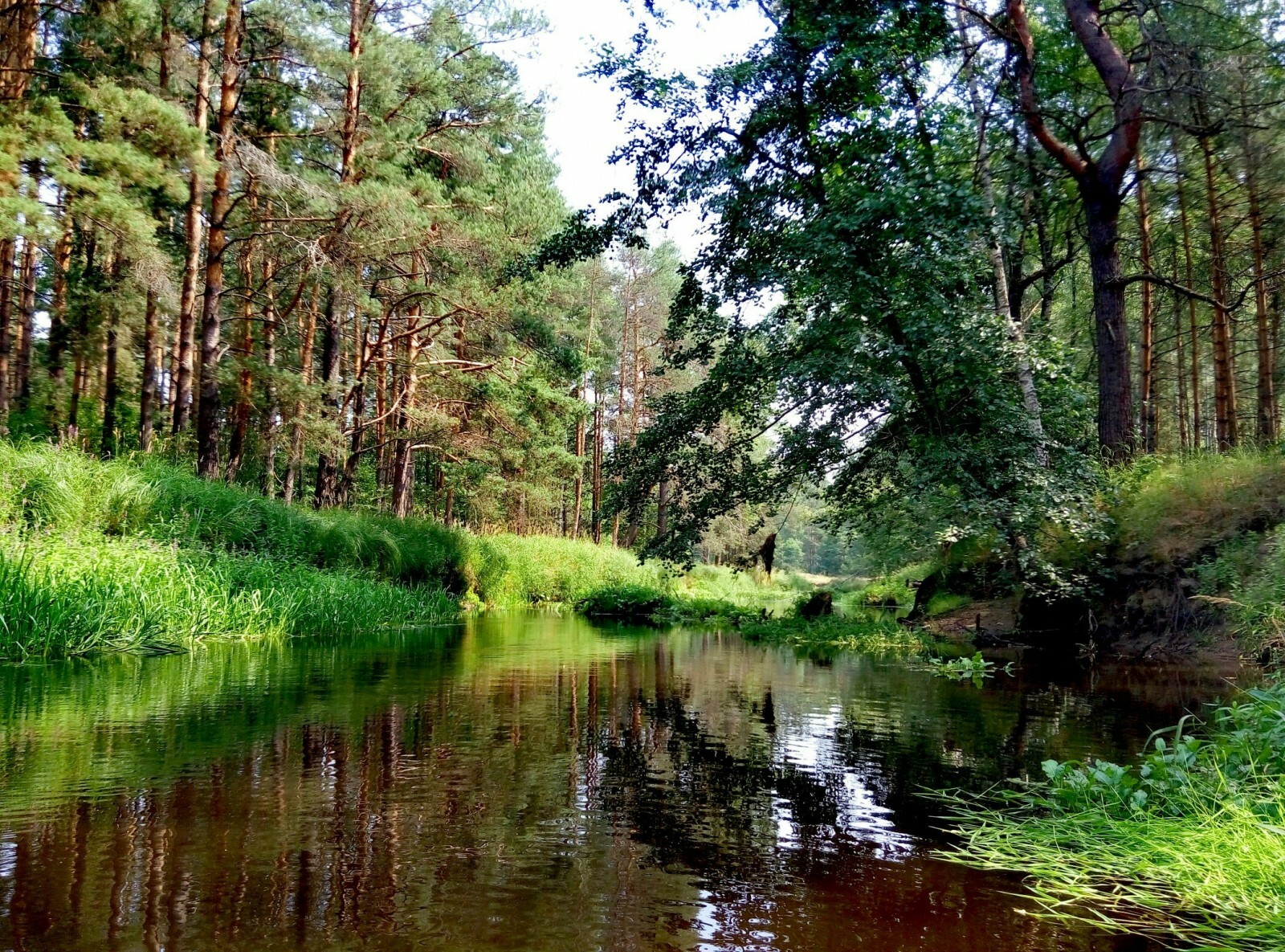 водный поход на байдарке
