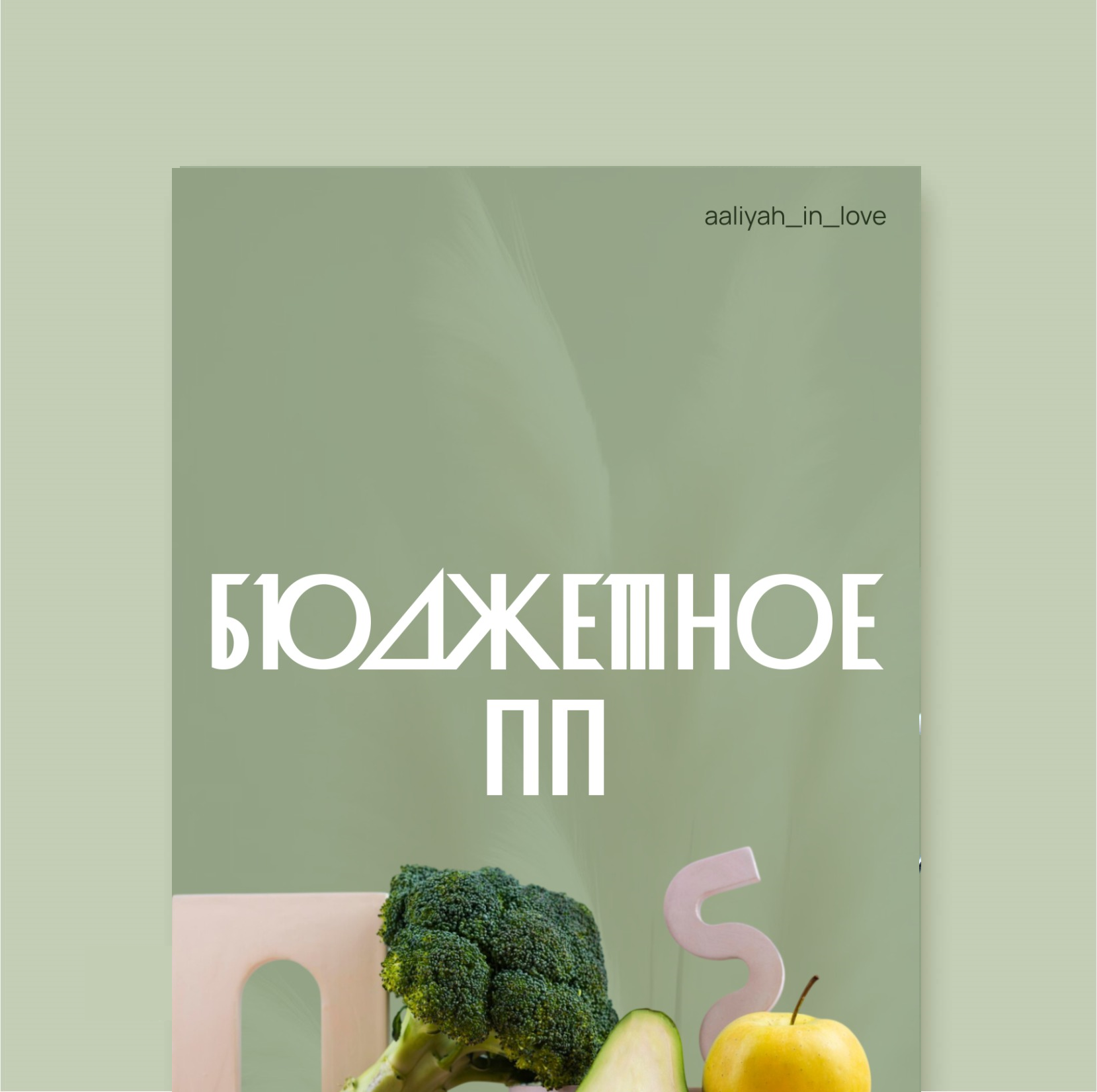 Бюджетное ПП