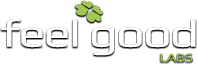 FeelGoodLabs Logo | Онлайн бизнес акселератор для стартапов