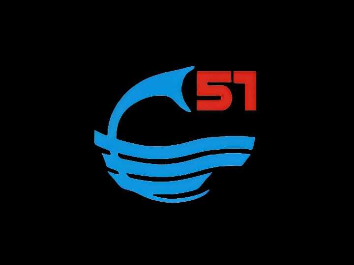 Союз 51