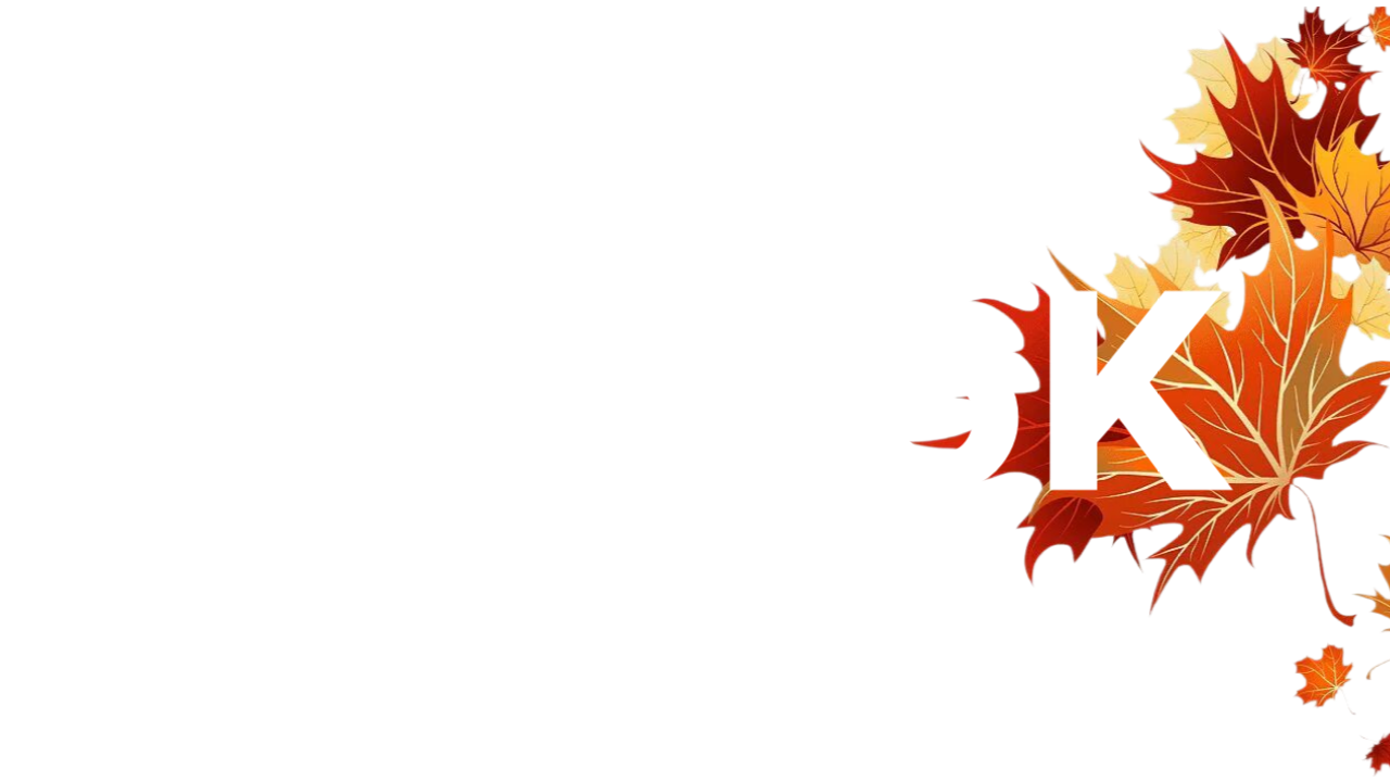  MyBooK 
