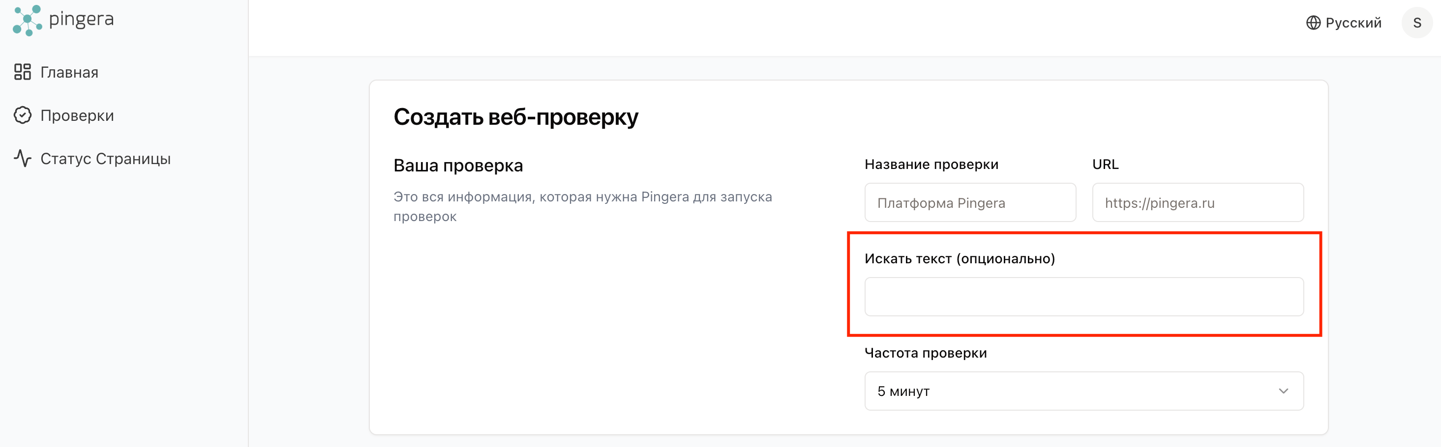 Pingera поиск по тексту в проверке
