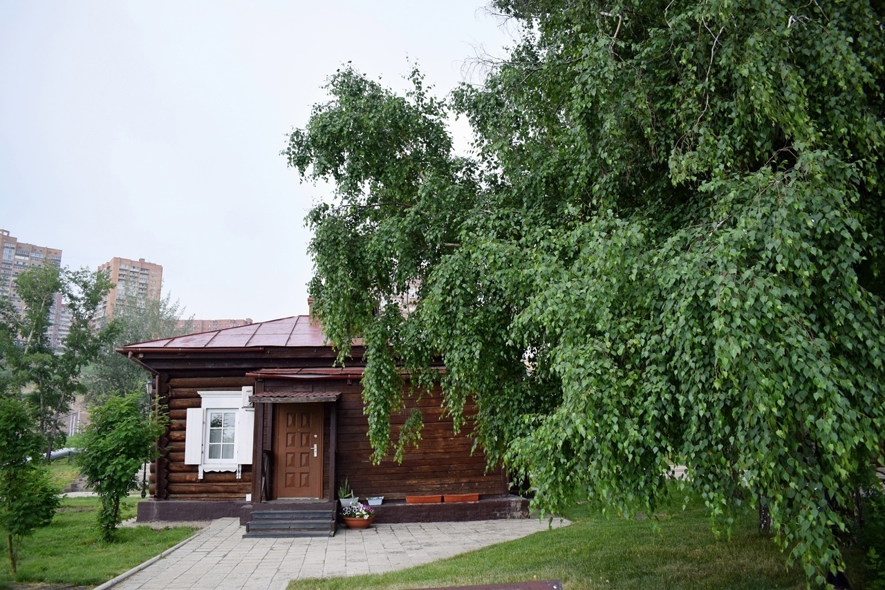 Школа 144 Новосибирск среди деревьев