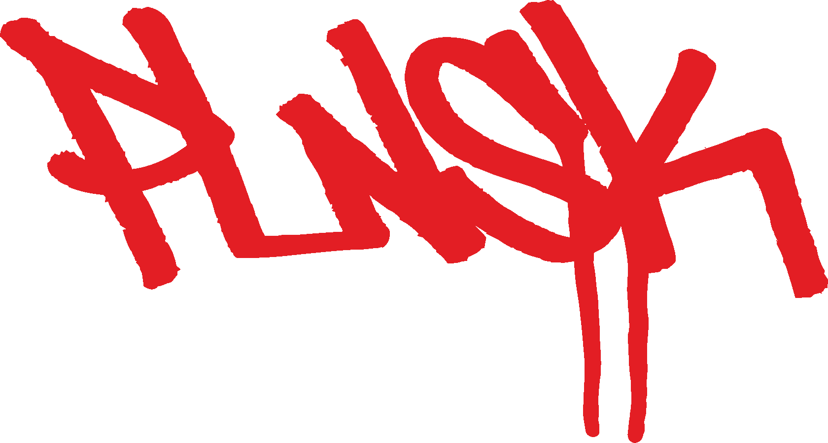 PLNSK Group