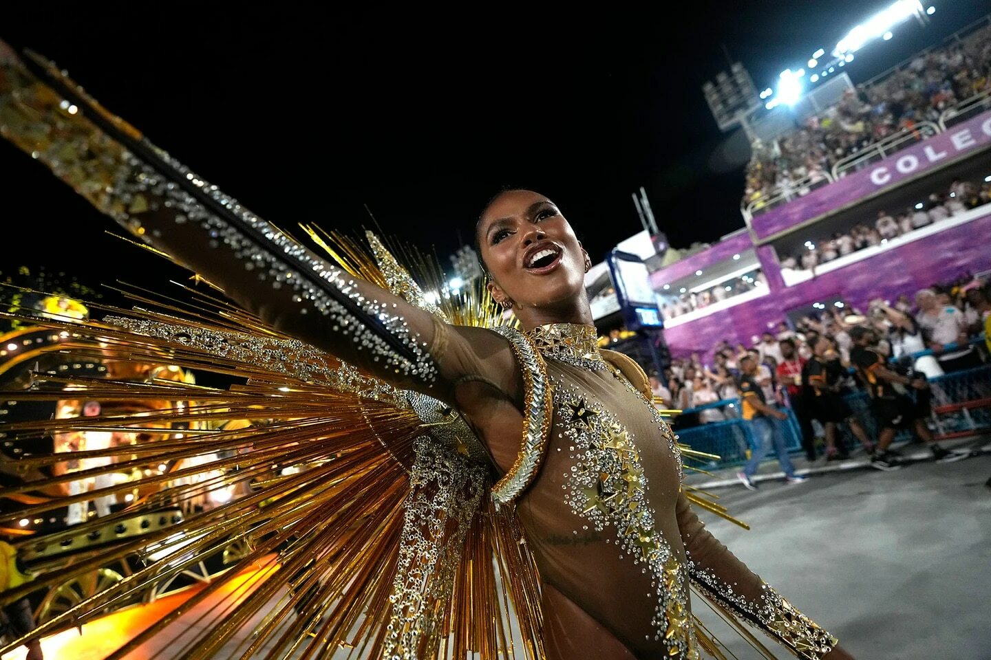 54534 Rio Carnival Images, Stock Photos & Vectors