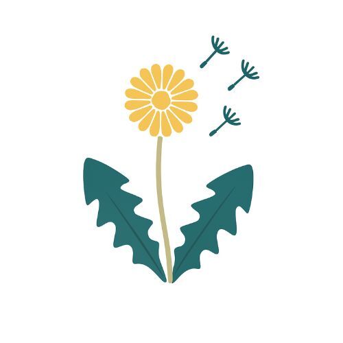 dandelion