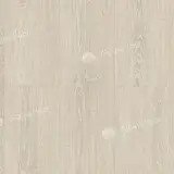 Дуб Снежный