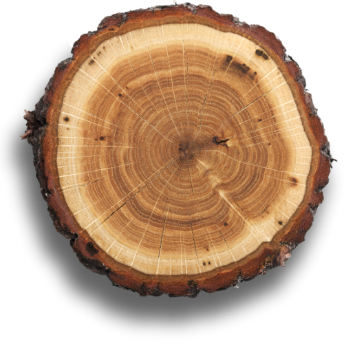 Иконка, символизирующая отсутствие вредных компонентов