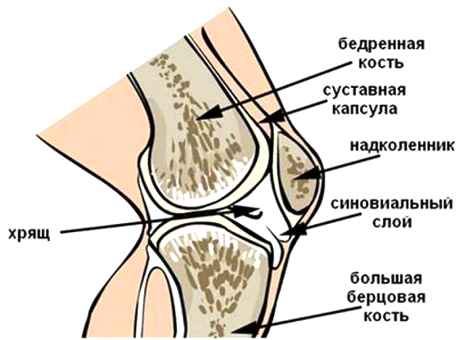 Боли в коленях: причины, диагностика и лечение