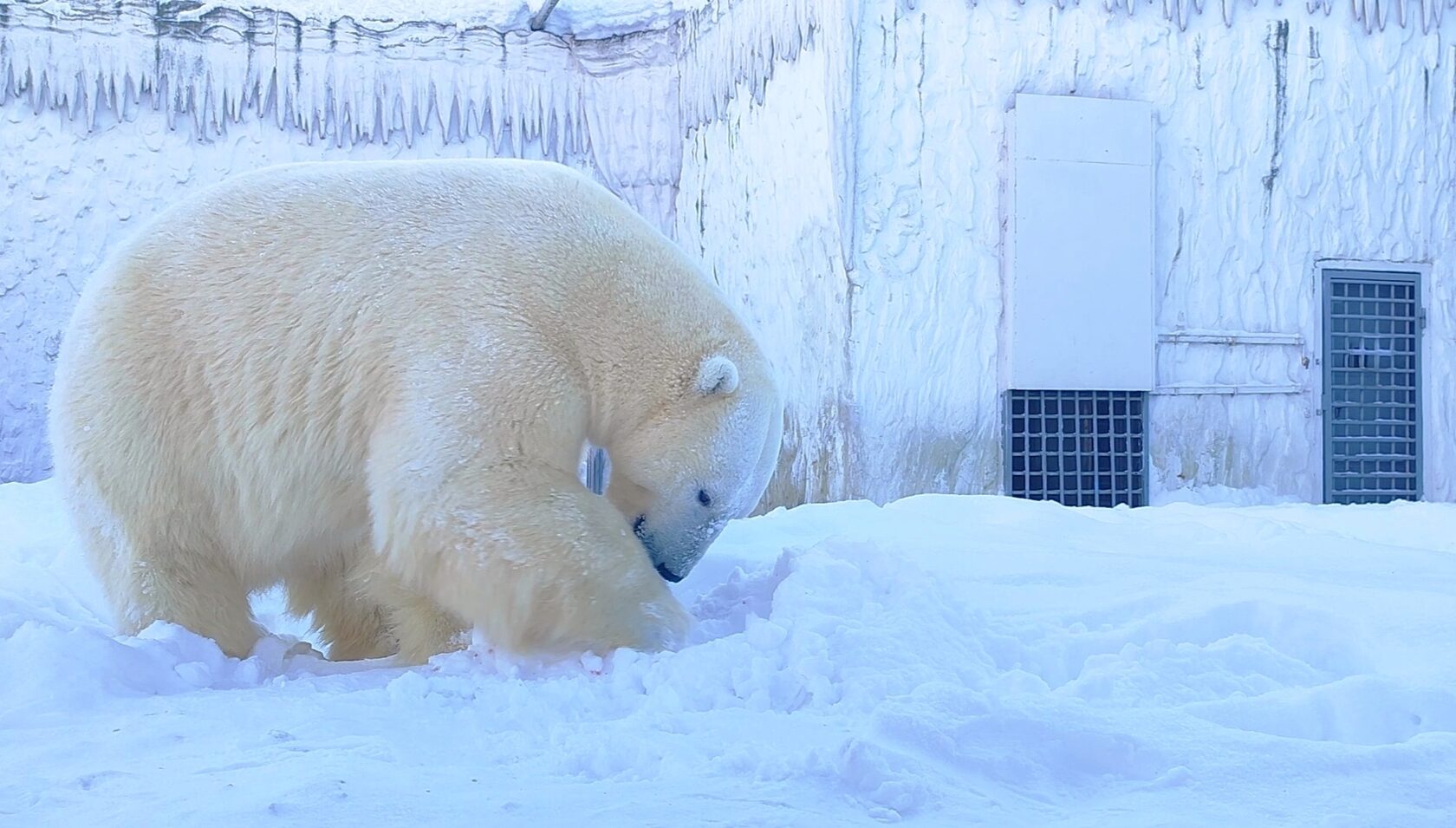 Океанариум Пенза — аквариумы