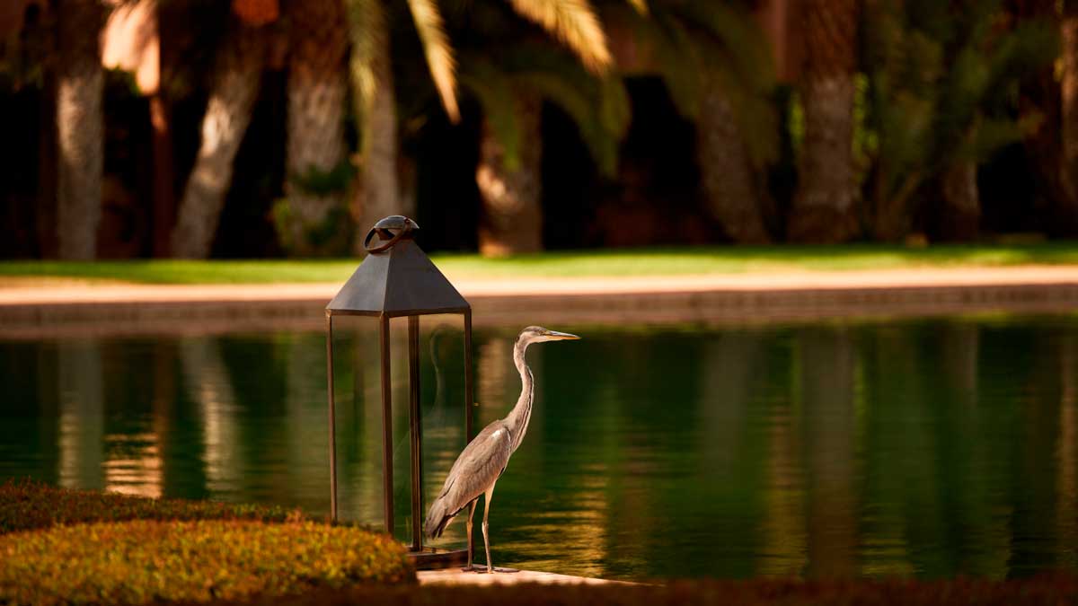 Люксовый отель Amanjena в Марракеше