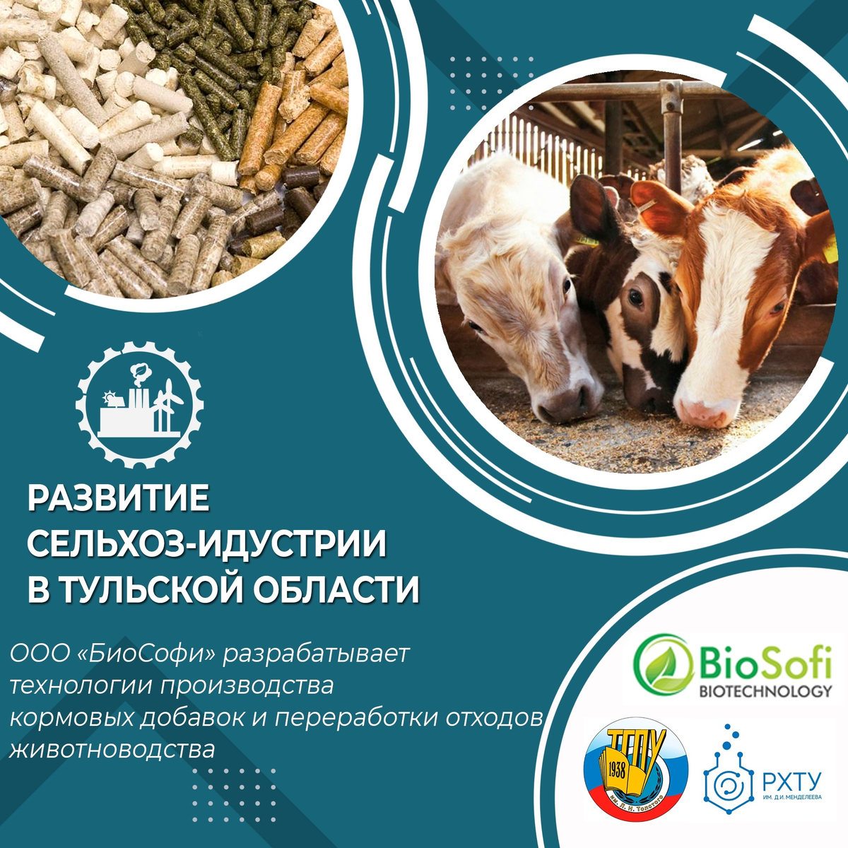 Развитие сельхоз-индустрии и производство кормовых добавок