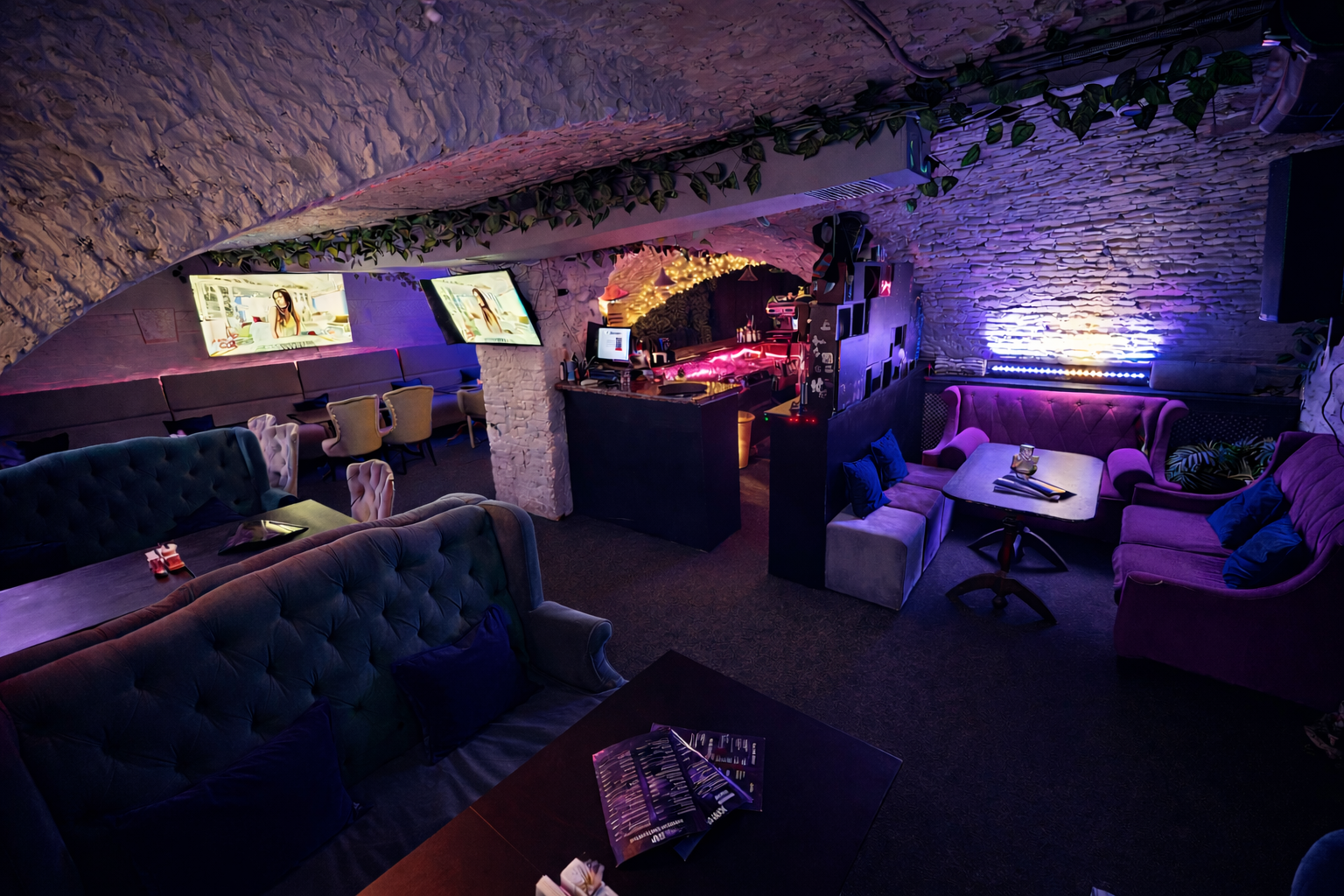 Интерьер караоке-бара Белая стрекоза