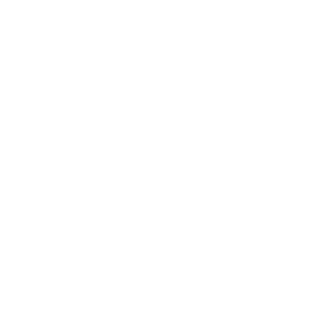 website icon