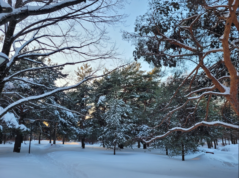шаги развития учебного центра ДПО