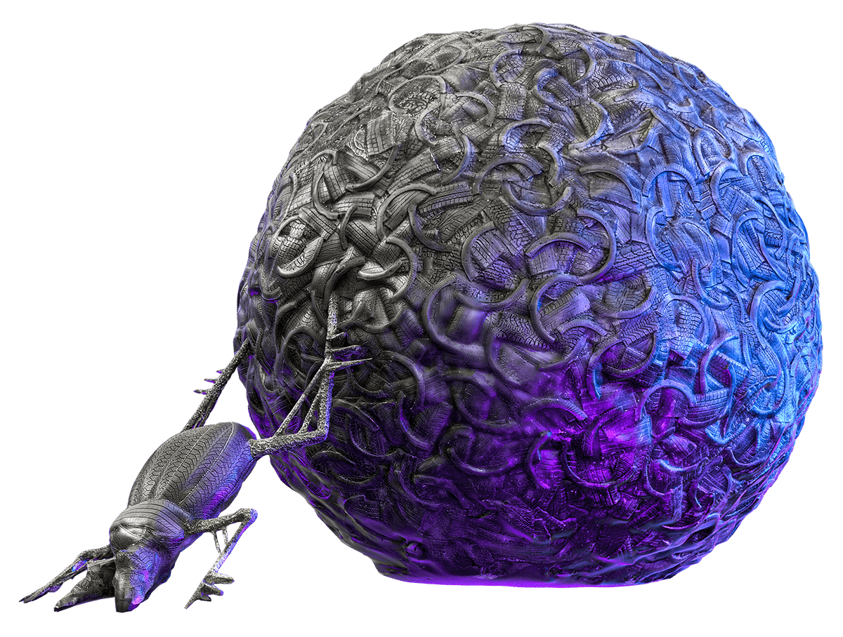 Жук-скарабей, Пермский край, Пермь