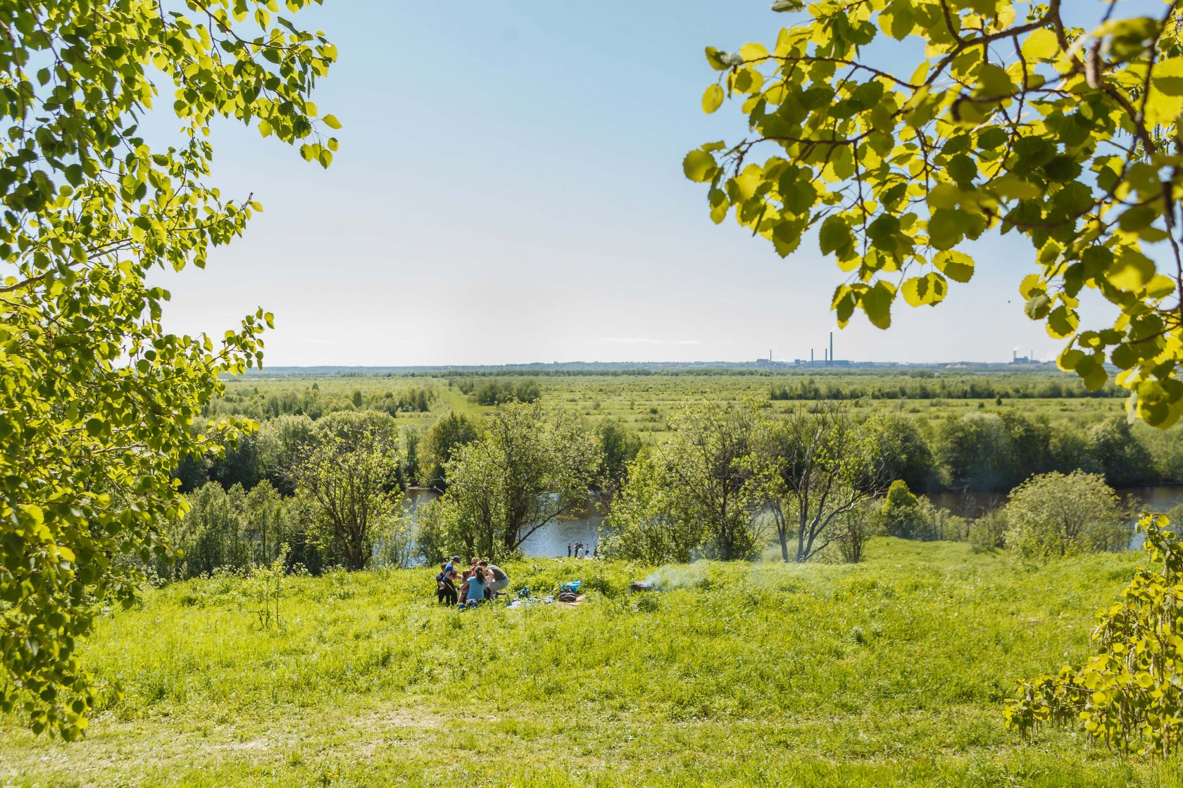 Дерево село отдохнуть