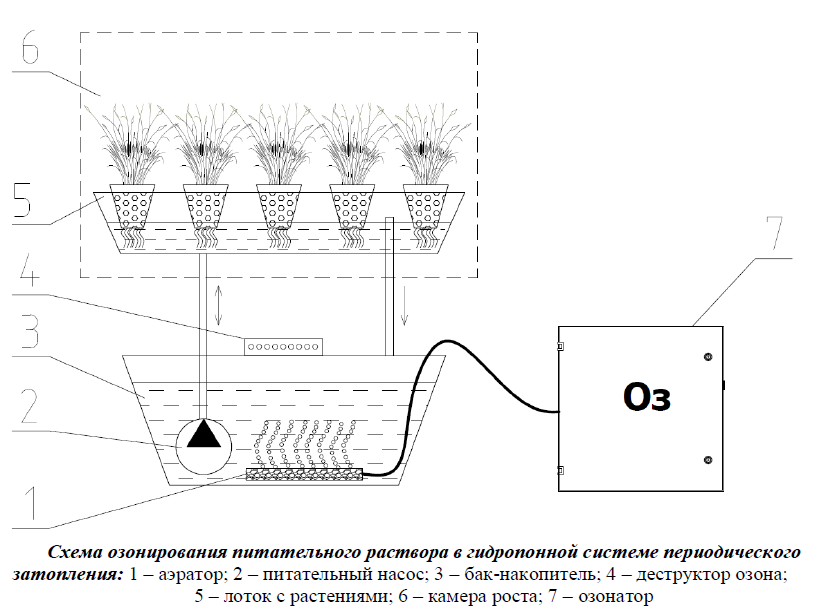 Схема гидропонной установки