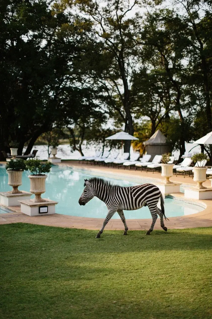 Royal Livingstone Hotel в Замбии