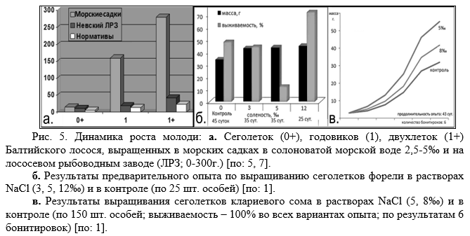 Динамика роста молоди сеголеток (0+), годовиков (1), двухлеток (1+) балтийского лосося, форели, клариевого сома