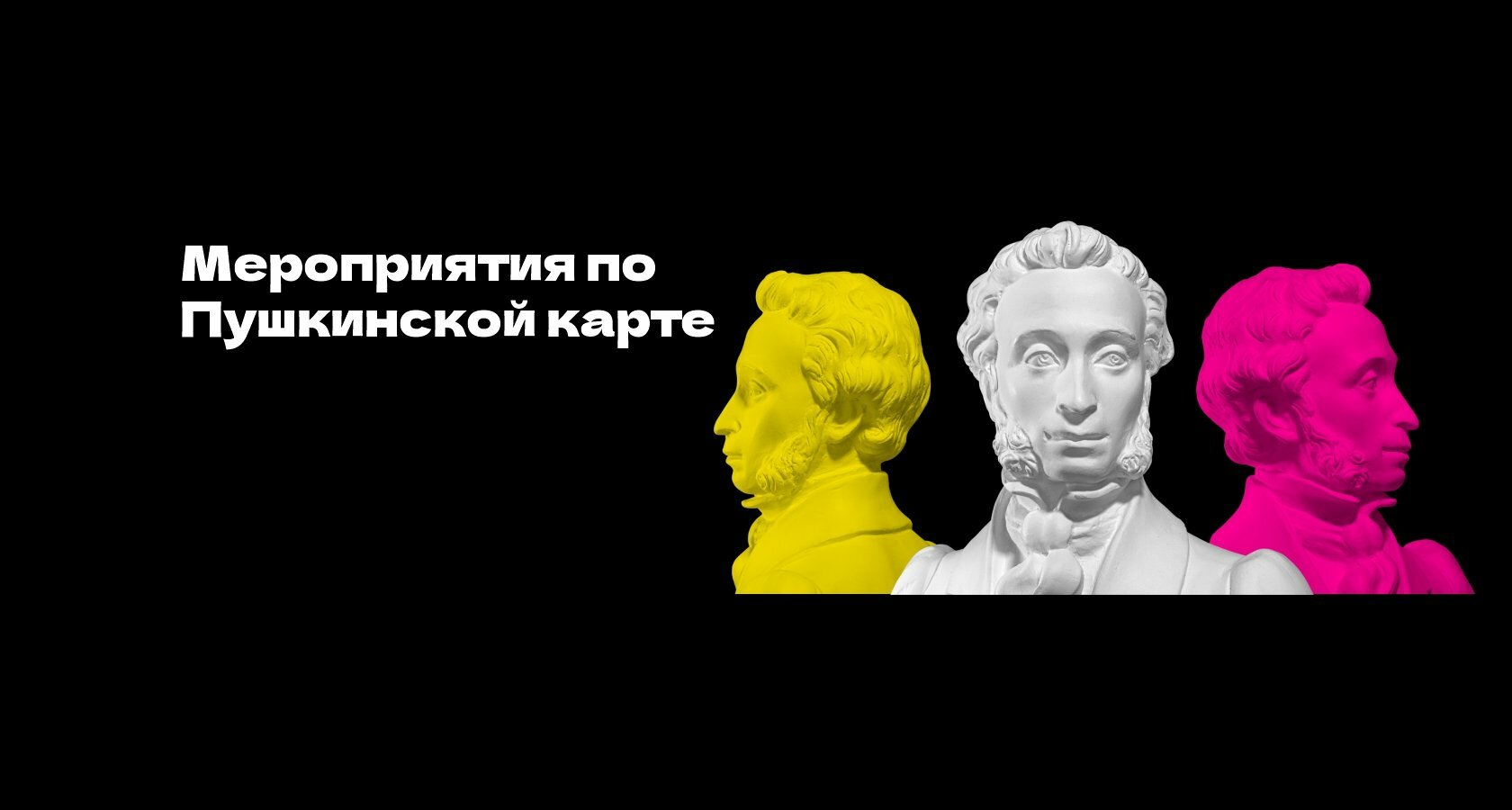 Купить Книгу Через Пушкинскую Карту