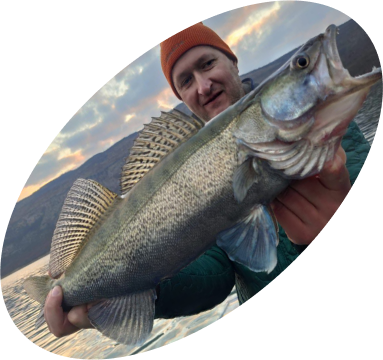 Large zander close to the sea coast