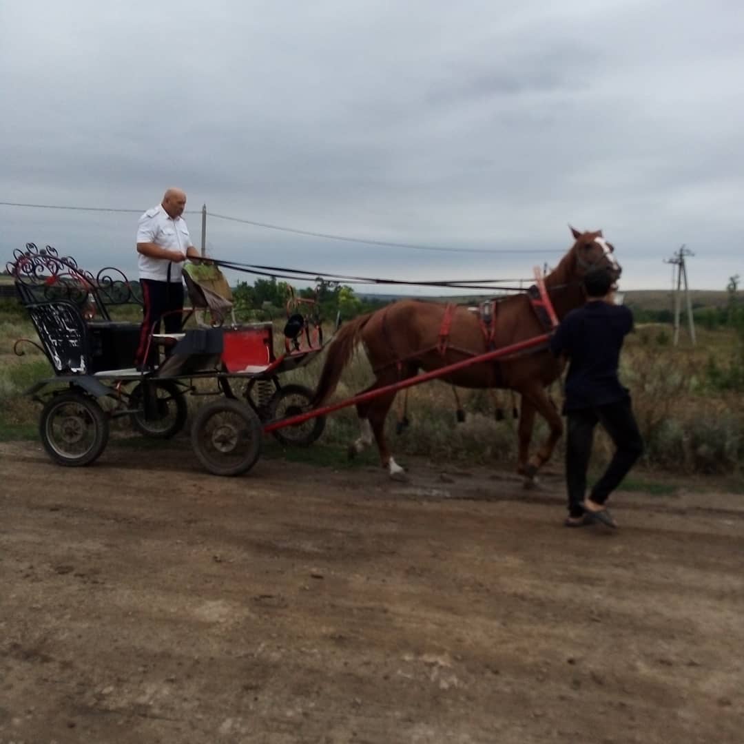 Возвращается в родной хутор. Ахтуба казачий Хутор. Казачий Хутор Урай. Хутор Волченский. Хутор казачки Вари.