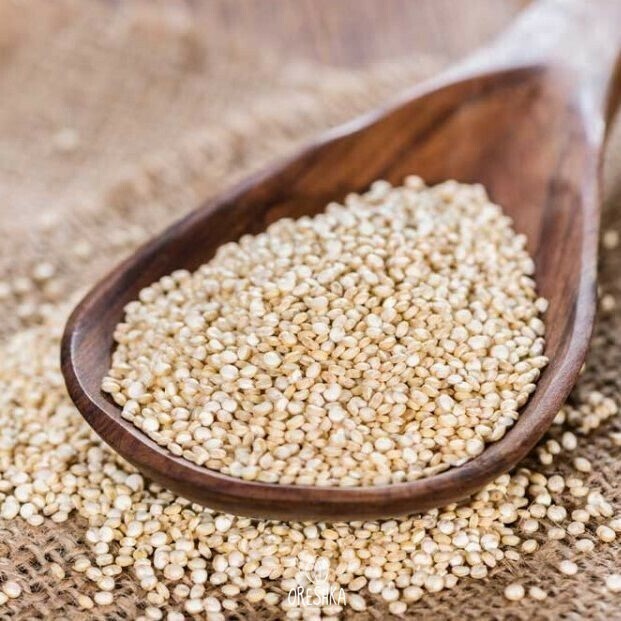 Seeds of White quinoa (Chenopodium quinoa - 10000 pcs