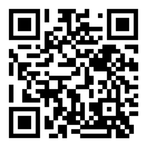 website icon