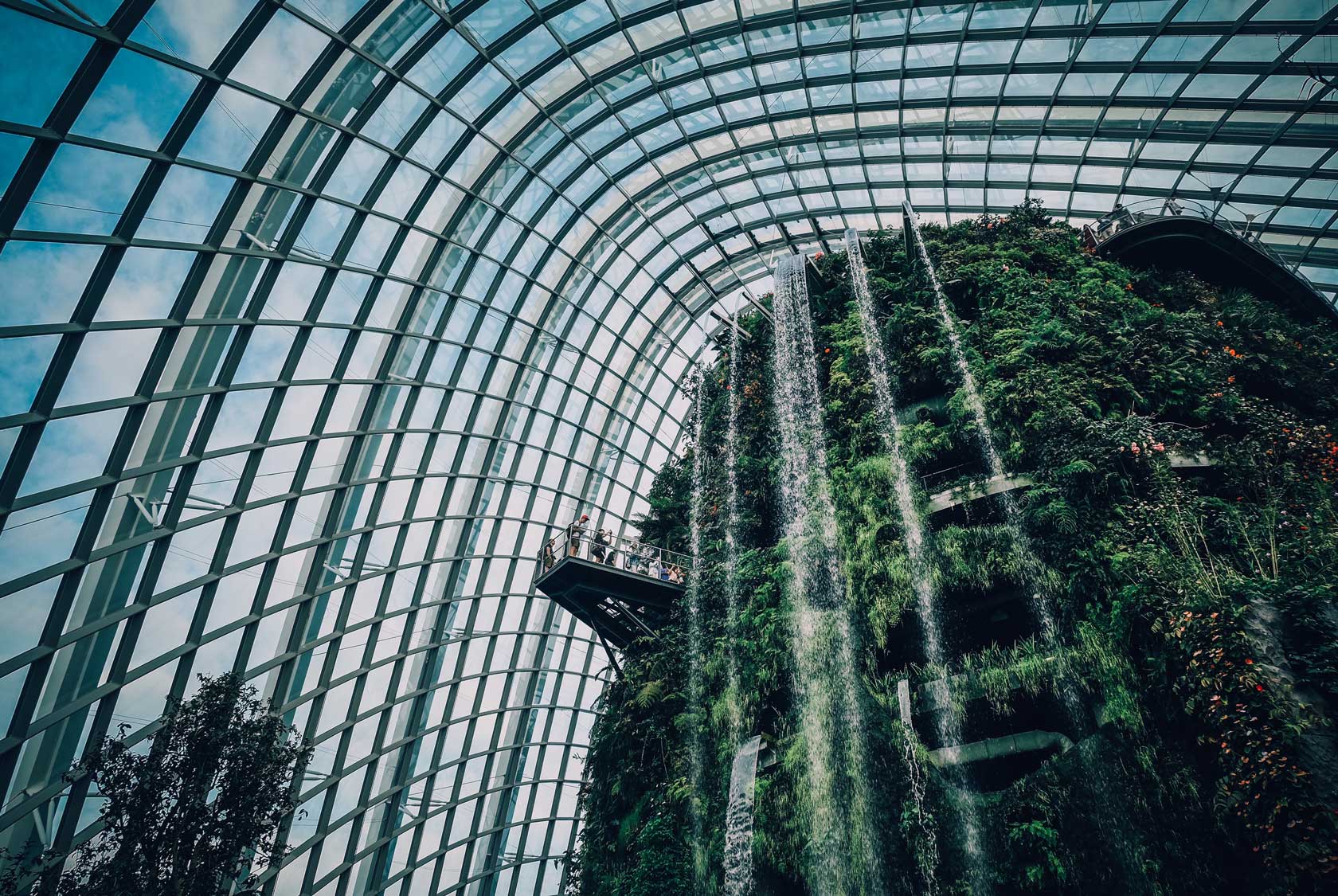 сады у залива Марина Бей в Сингапуре - оранжерея Тропический лес