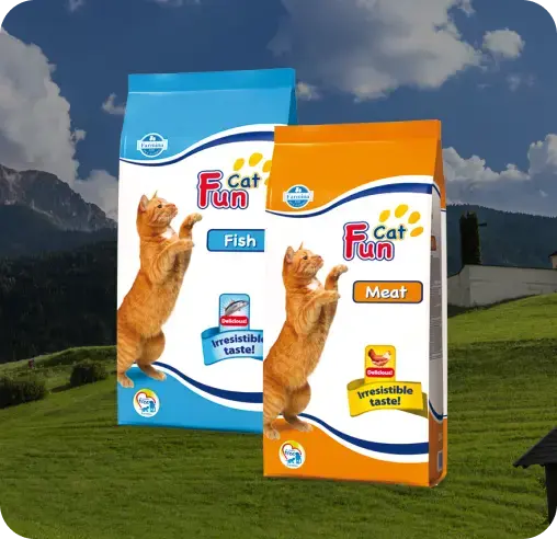 Fun Cat