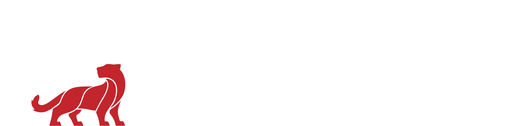  Барс Профи 
