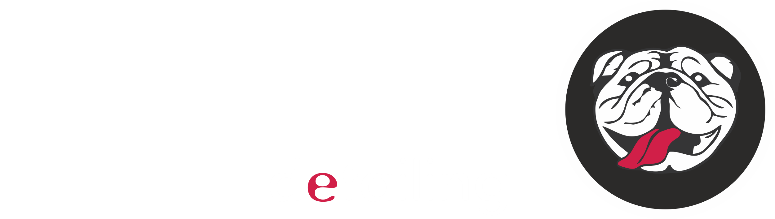 Bulldog Detailing