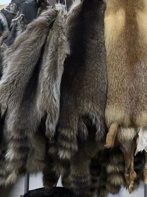 Шкурки енота и лисы на складе сырья