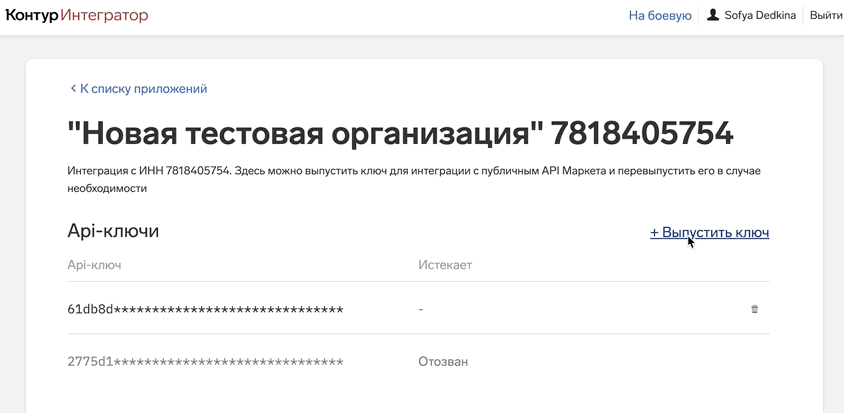 Страница API-ключей с кнопкой «Выпустить ключ»