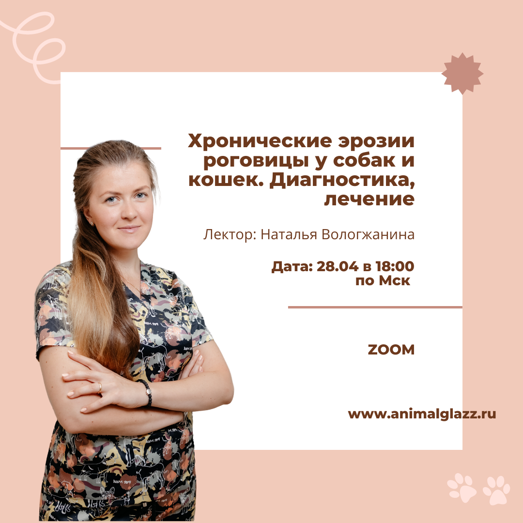 Офтальмология в практике ветеринарного врача