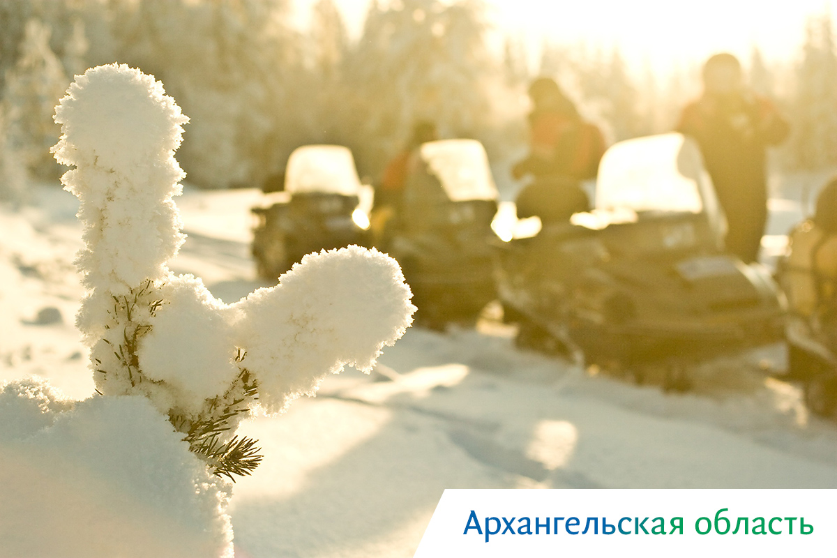 киты в охотском море