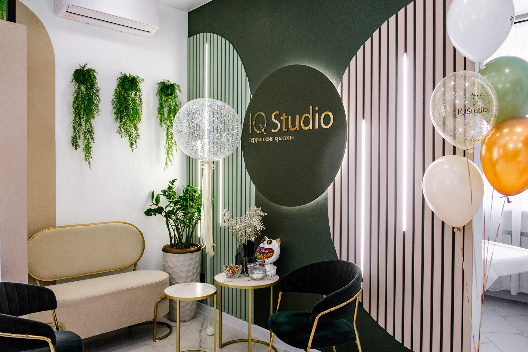 Процедура в студии