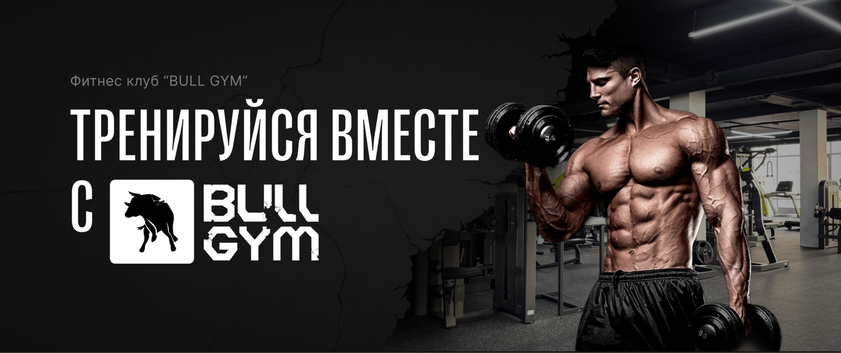 Bull Gym