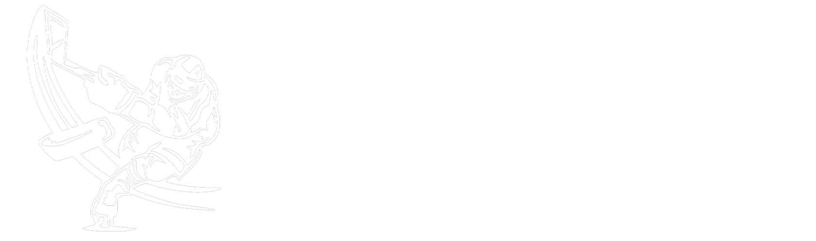 Company name