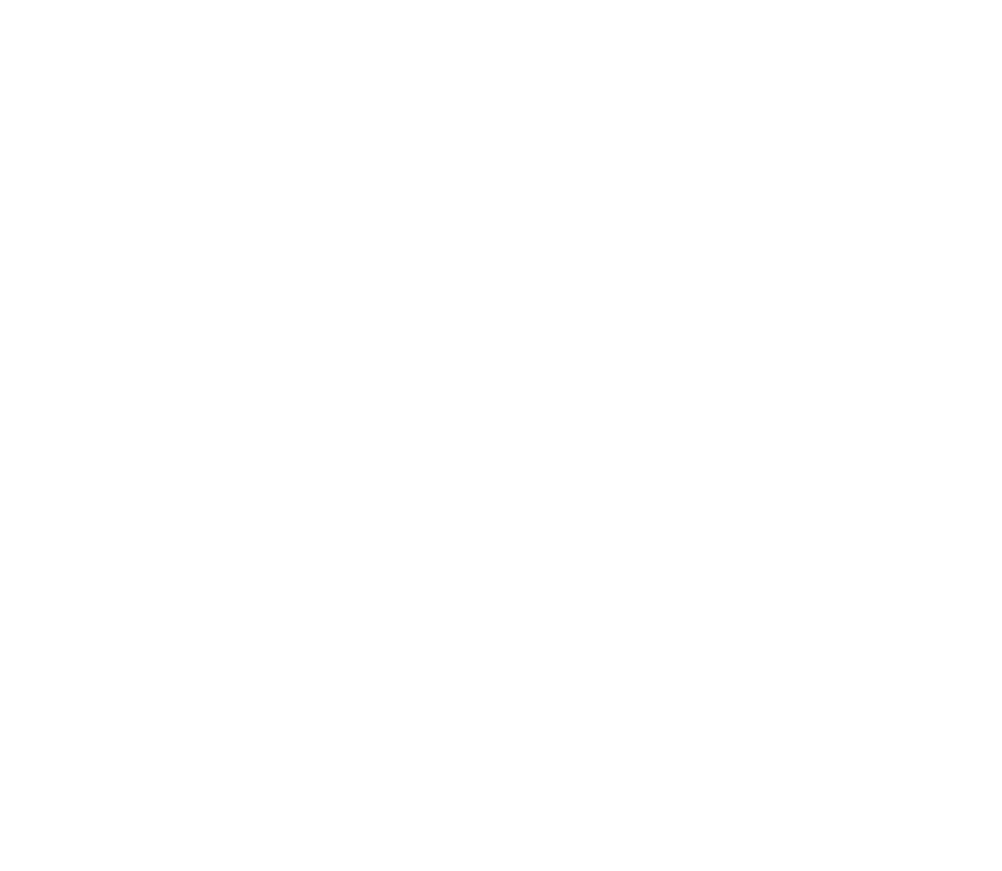 Снежный Барс — логотип