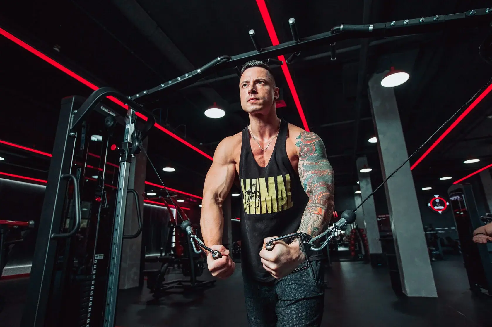 Оборудование Free Weight в CASTA