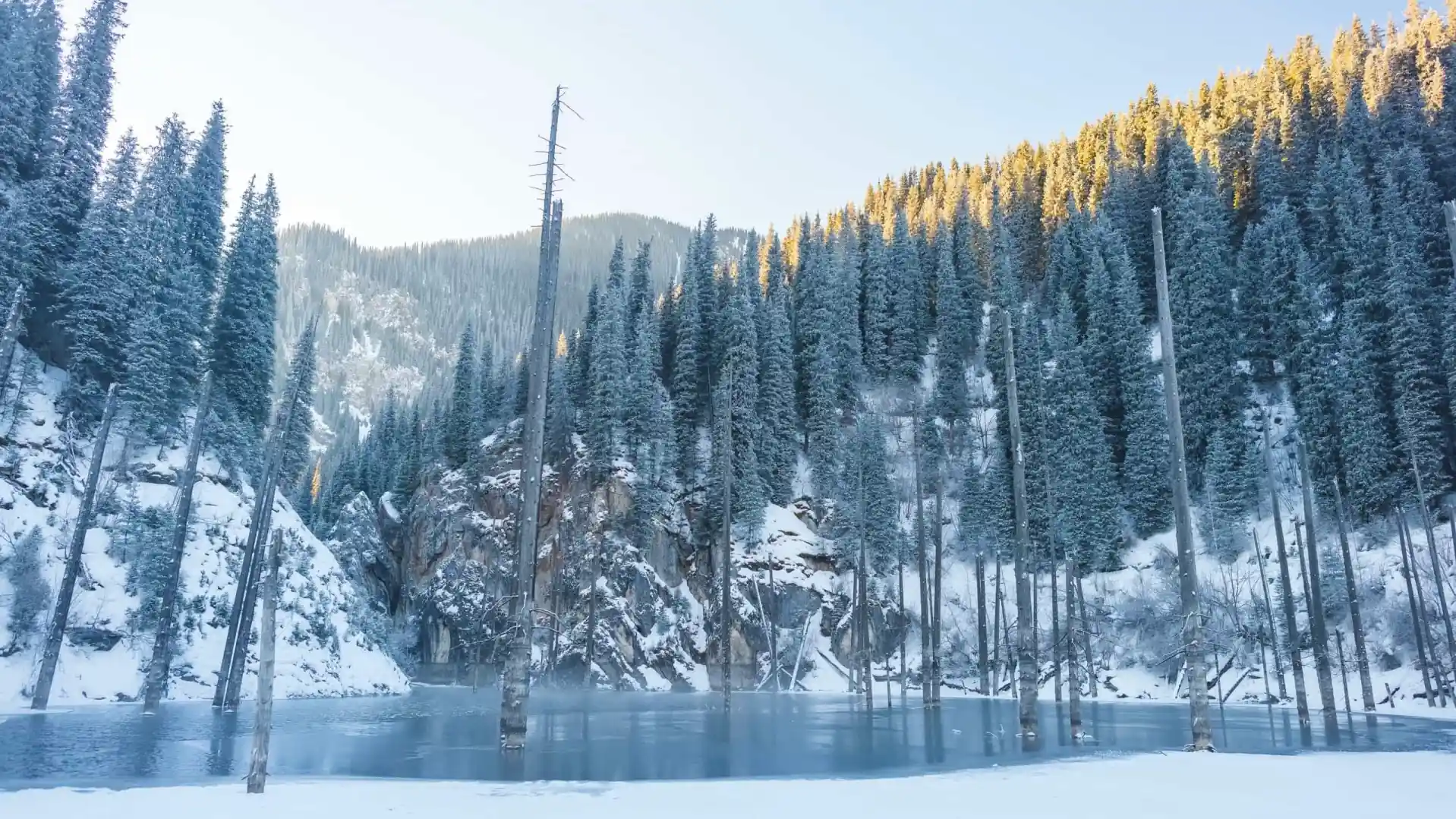 Озеро Каинды затопленный лес