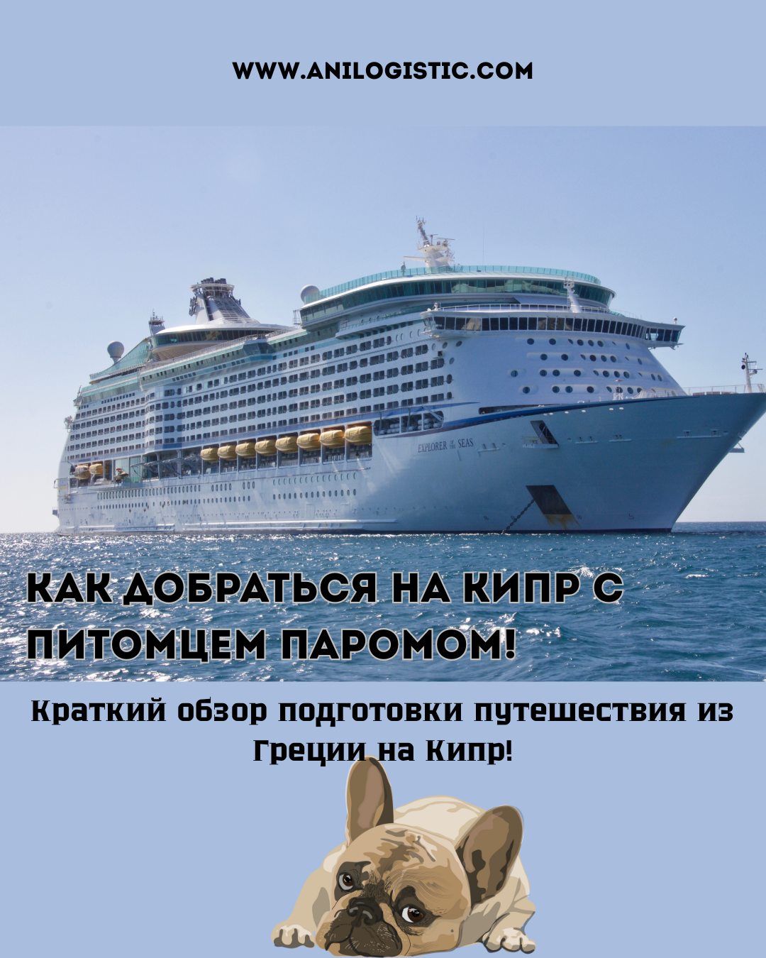 Паром с животными из Греции на Кипр — условия перевозки собаки или кошки